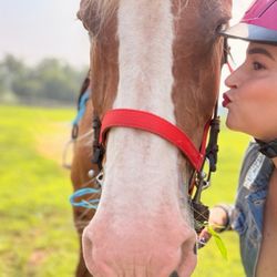 Saying goodbye to my horse