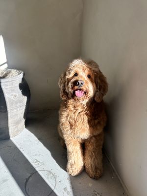 Rutina Coffee by null