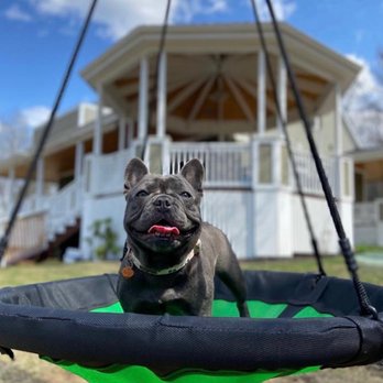 Annabessacook Veterinary Clinic - Veterinarians Near Me - Monmouth, Maine