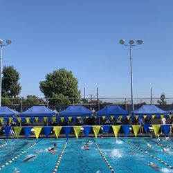 STOP swim meet