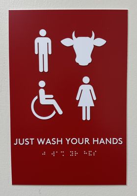 Urban Stead Cheese by null