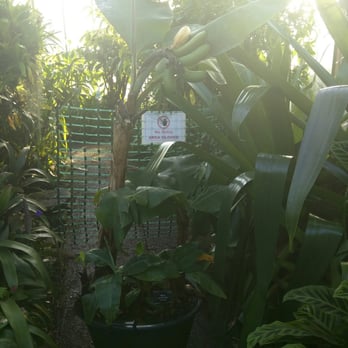 Royal Botanic Garden Edinburgh - Botanical Gardens Near Me - Edinburgh, EDH