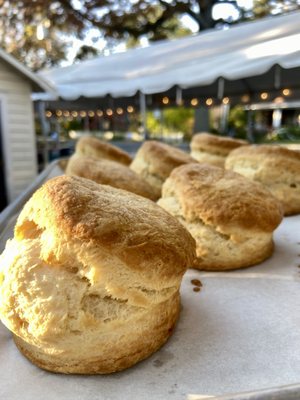 Aunt Chubby's Luncheonette by null