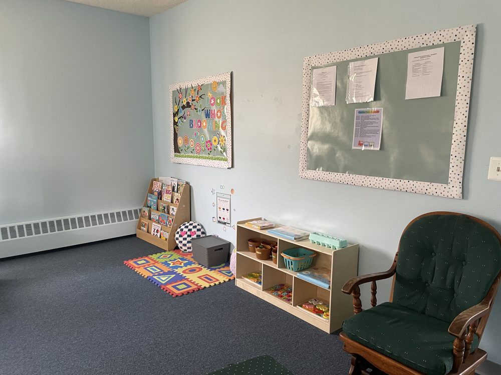 Blooming Bridges Academy - childcare center in Livonia, MI