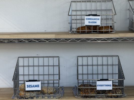 Daniel's Bagels by null