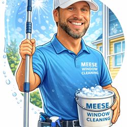 Meese Window Cleaning