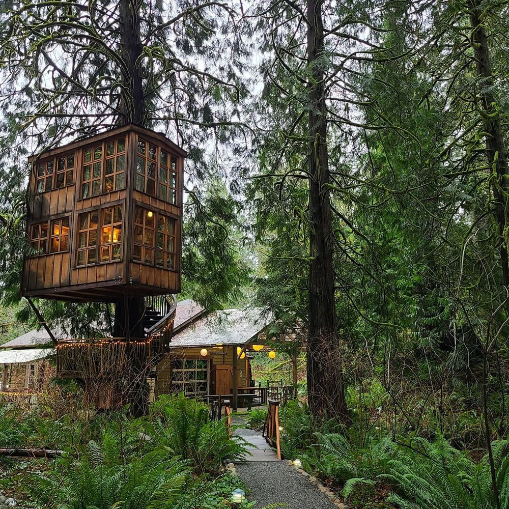 TreeHouse Point - Trillium Treehouse. - Bed & Breakfast Near Me - Issaquah, Washington TreeHouse Point - Trillium Treehouse. - Bed & Breakfast Near Me - Issaquah, Washington