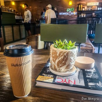Botanical House - Another relaxing spot for coffee - Coffee Roasteries Near Me - New Smyrna Beach, Florida