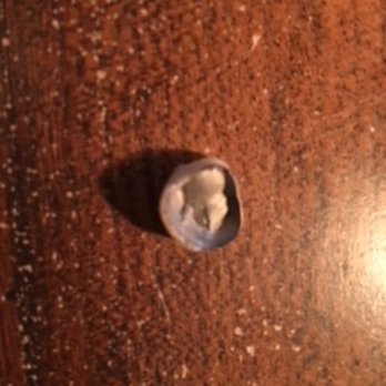 Gerald E Chang, DDS - Nothing but the tooth. - General Dentistry Near Me - Palm Springs, California Gerald E Chang, DDS - Nothing but the tooth. - General Dentistry Near Me - Palm Springs, California