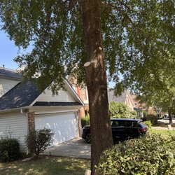 Carolina's Elite Tree Service
