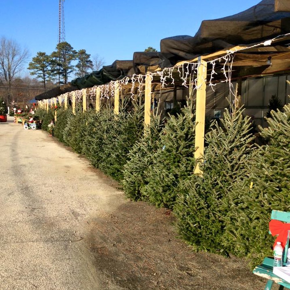 THE BEST 10 Christmas Trees in BURLINGTON COUNTY, NJ - Farmer Jacks  Christmas Trees, Indian Acres Tree Farm, Mansfield Christmas Tree Farm -  Yelp