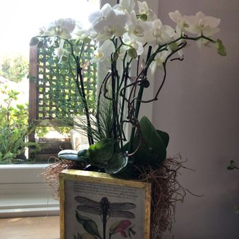 Green Door Design - Florists Near Me - Mill Valley, California
