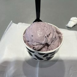 Freestone Ice Cream - Huckleberry ice cream (small)