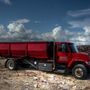 Photo of Berry Disposal