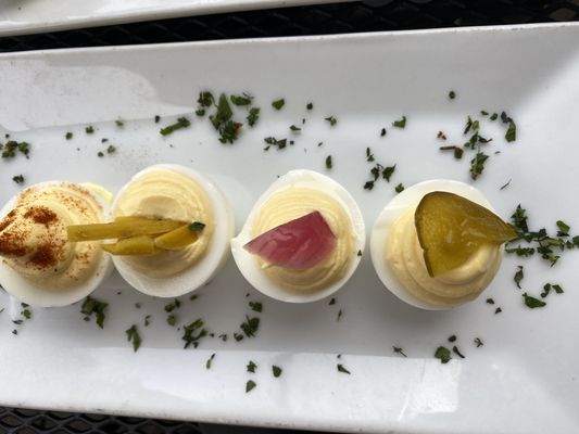 Pickled Owl by null