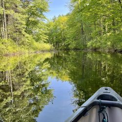 Sebago Trails Paddling