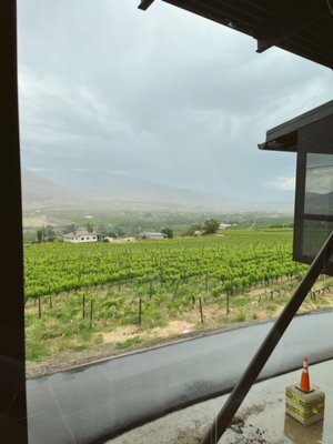 Checkmate Artisanal Winery by null