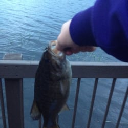 Pine Point Lodge - Caught this right of our dock.!