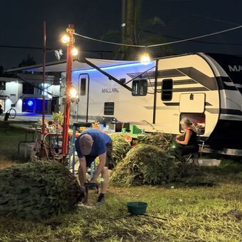 Blue Ridge Tree Farm - Christmas Trees Near Me - Fort Lauderdale, Florida Blue Ridge Tree Farm - Christmas Trees Near Me - Fort Lauderdale, Florida