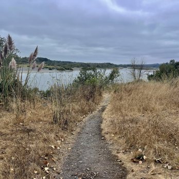 River Walk Trail - September 11, 2025 - One of the few spur trails that lead to the river. - Hiking Near Me - Fortuna, California River Walk Trail - September 11, 2025 - One of the few spur trails that lead to the river. - Hiking Near Me - Fortuna, California