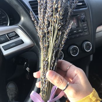 Half Moon Bay Lavender - Small bouquet $9.95 - Nurseries & Gardening Near Me - Half Moon Bay, California Half Moon Bay Lavender - Small bouquet $9.95 - Nurseries & Gardening Near Me - Half Moon Bay, California
