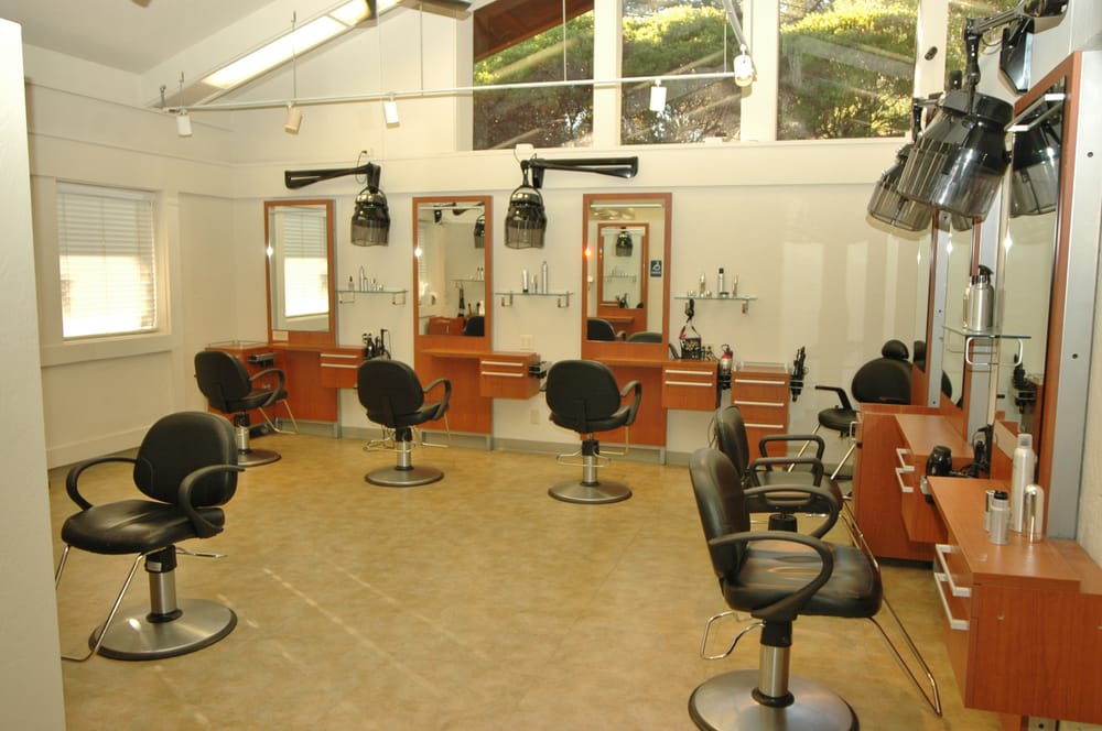 The Salon Logo