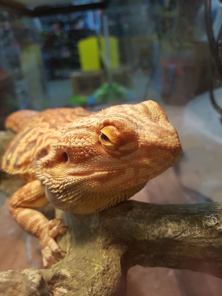 BACCHUS NORTHGATE PACKAGE STORE 625 Northgate Mall, Chattanooga