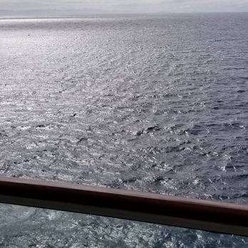 Norwegian Cruiseline - Fear God's logistical wrath as he makes waves so high they cause 4 hour port delays... - Boat Charters Near Me - Valrico, Florida Norwegian Cruiseline - Fear God's logistical wrath as he makes waves so high they cause 4 hour port delays... - Boat Charters Near Me - Valrico, Florida