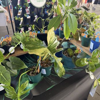 Lōkahi Kailua Market - Farmers Market Near Me - Kailua, Hawaii