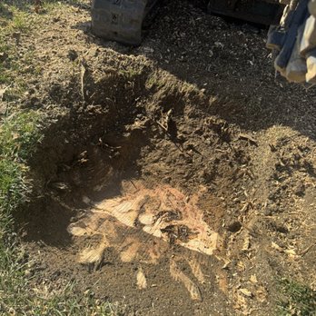 Epic Stump Removal - Larger of the two. Cleanly done and precise. - Tree Services Near Me Epic Stump Removal - Larger of the two. Cleanly done and precise. - Tree Services Near Me