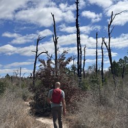 Bastrop State Park