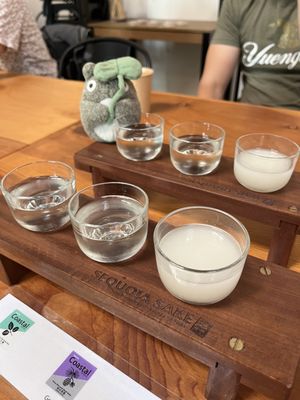 Sequoia Sake by null