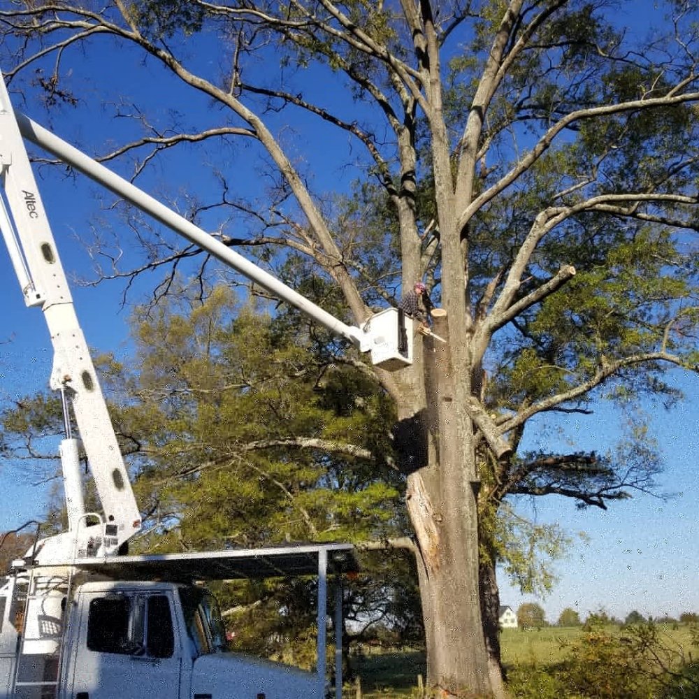 TIM CORBIN’S PROFESSIONAL SERVICES Updated September 2024 200