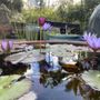 Photo of Garden Ponds Nursery