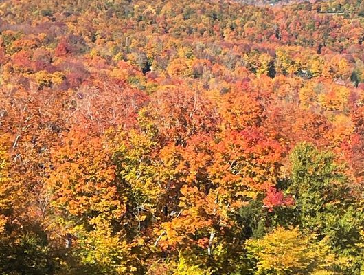 Stratton Mountain Resort by null