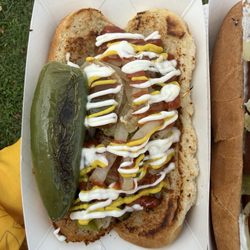 Krazy Dogs - LA street dog.