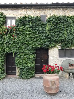 Tenuta Di Ricavo by null