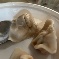 Asian Pot - Steamed Dumplings