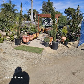 Somis Koi & WaterGardens - Aquarium Services Near Me - Somis, California Somis Koi & WaterGardens - Aquarium Services Near Me - Somis, California