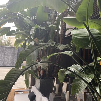 RH Rooftop Restaurant at RH West Palm - Wine Bars Near Me - West Palm Beach, Florida