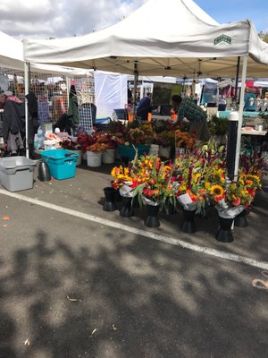 Salem Saturday Market by null