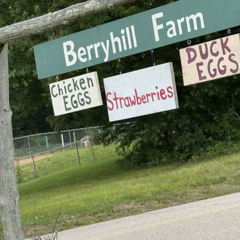 Berryhill farm - Signage to the farm - Pick Your Own Farms Near Me - East Haddam, Connecticut Berryhill farm - Signage to the farm - Pick Your Own Farms Near Me - East Haddam, Connecticut