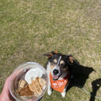 Triangle Drive-In - Pup-A-Treat for a very good boy on a hot day. - Ice Cream & Frozen Yogurt Near Me - Brainerd, Minnesota