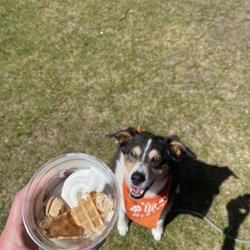 Triangle Drive-In - Pup-A-Treat for a very good boy on a hot day.