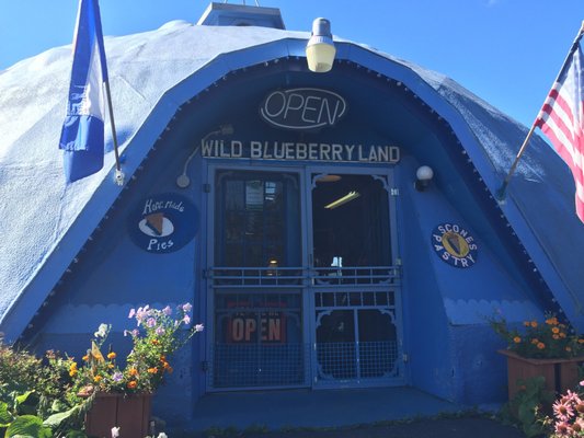 Wild Blueberry Land by null