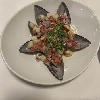 Terra Sur Cafe - Choros - Peruvian Near Me - Tampa, Florida Terra Sur Cafe - Choros - Peruvian Near Me - Tampa, Florida