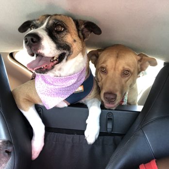 Happy Pawz - Pet Boarding Near Me - Helotes, Texas