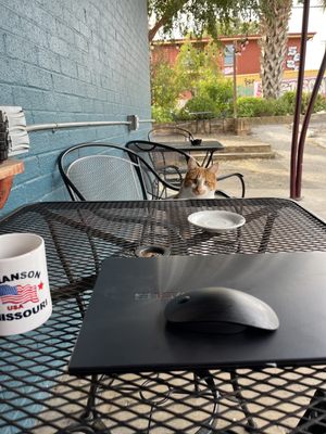 Bennu Coffee by null Bennu Coffee by null