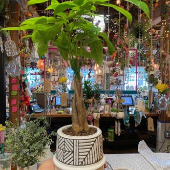Tansy - Home Decor Near Me - Burbank, California Tansy - Home Decor Near Me - Burbank, California