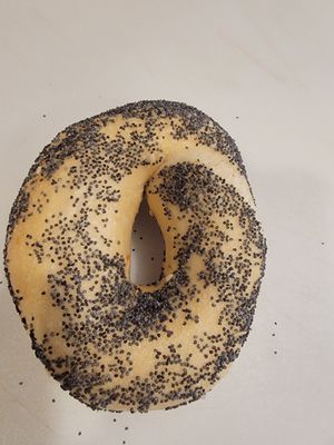 The Cleveland Bagel Company by null